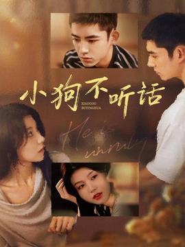 小狗不听话(全集)